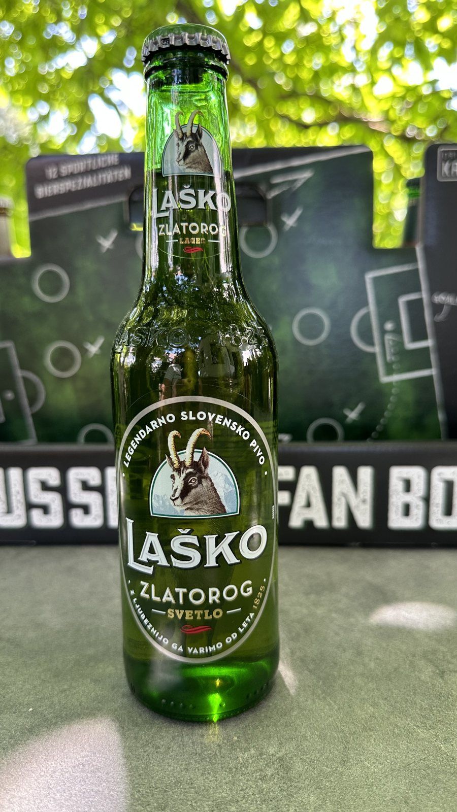 Laško Zlatorog – Linz
