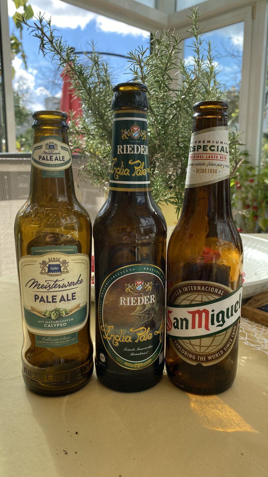 Meisterwerk Pale Ale, Rieder Pale Ale, San Miguel – Linz
