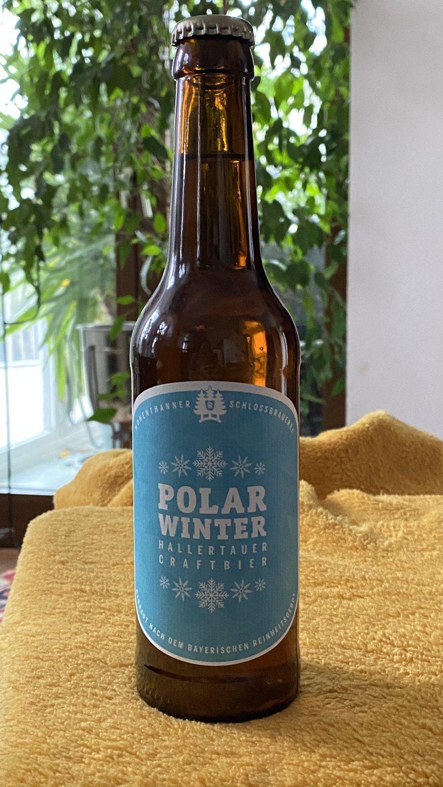 Polar Winter Craftbier – Linz