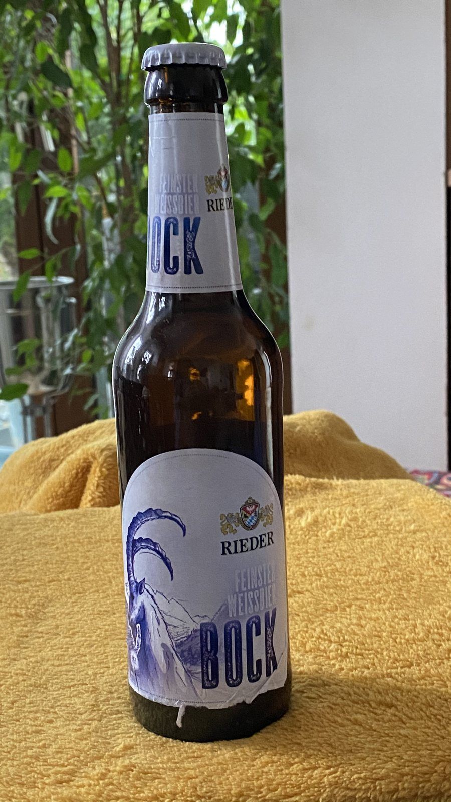 Rieder Bock – Linz