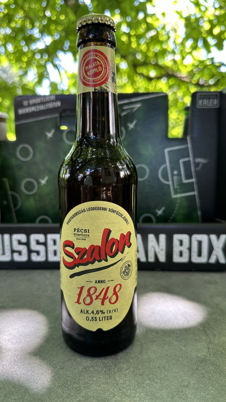 Szalon 1848 – Linz
